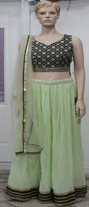 Beautiful Dark & Light Lehenga