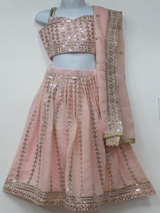 Beautiful Baby Pink Lehenga