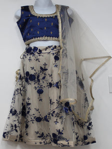 Beautiful Royal Blue Lehenga