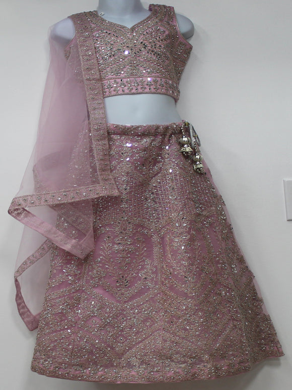 Beautiful Baby Pink Lehenga