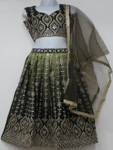 Beautiful Mehndhi Lehenga