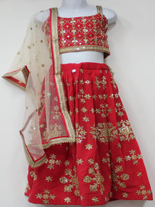 Beautiful Red Lehenga